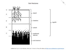 Thumbnail of Soil Horizons